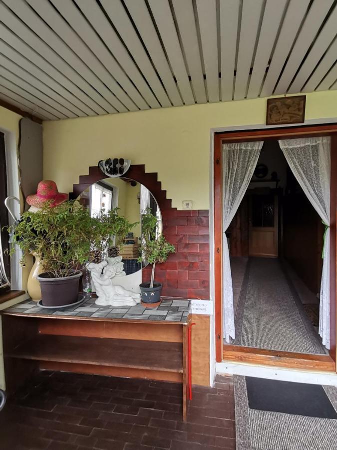 Apartman Ve Mlejne Nová Bystřice Buitenkant foto