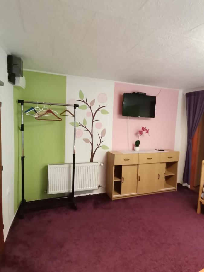 Apartman Ve Mlejne Nová Bystřice Buitenkant foto