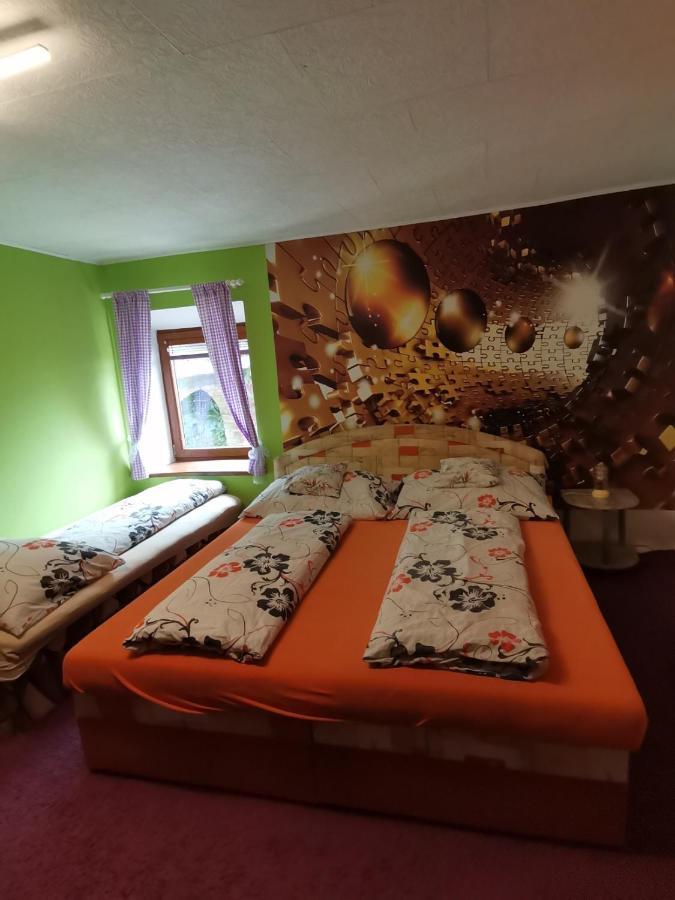 Apartman Ve Mlejne Nová Bystřice Buitenkant foto