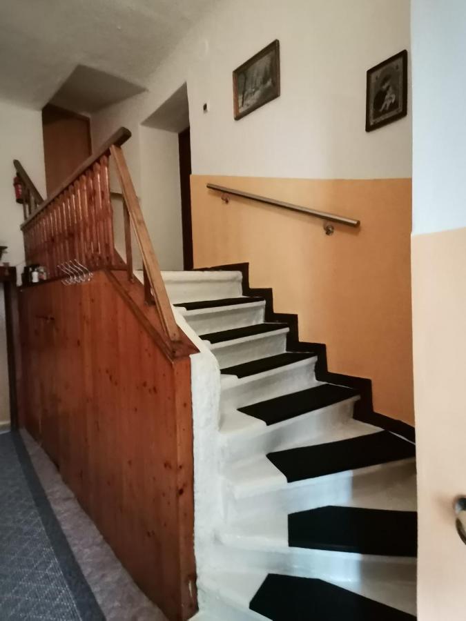Apartman Ve Mlejne Nová Bystřice Buitenkant foto