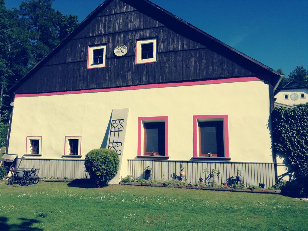 Apartman Ve Mlejne Nová Bystřice Buitenkant foto