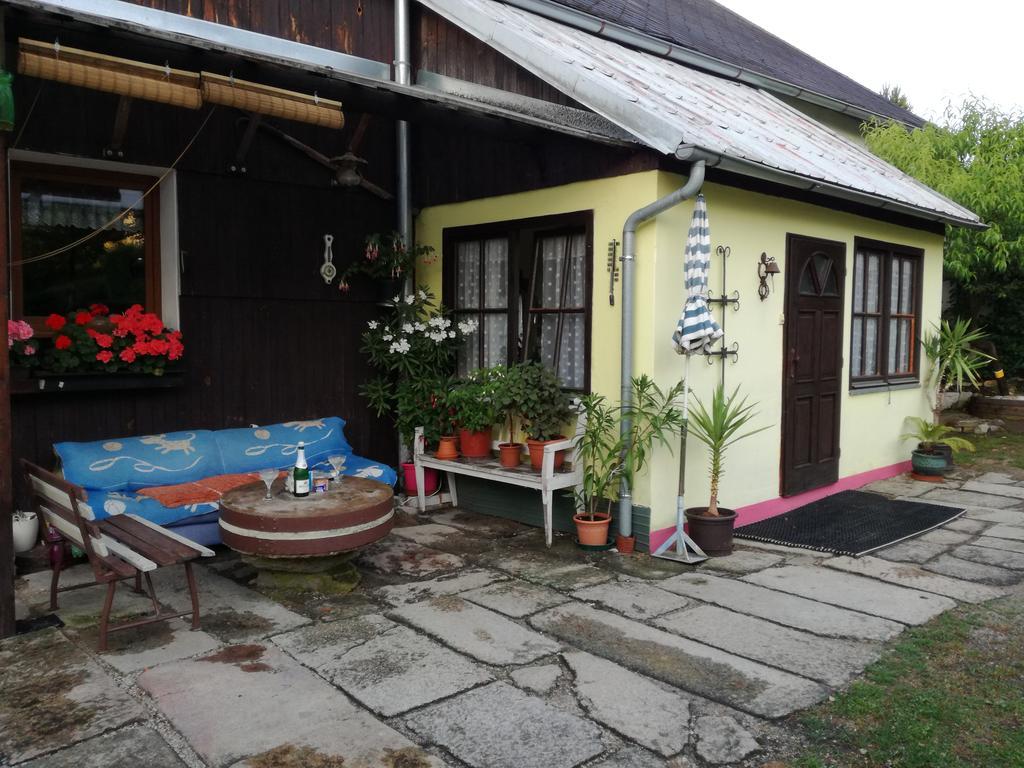 Apartman Ve Mlejne Nová Bystřice Buitenkant foto