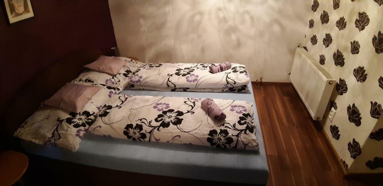 Apartman Ve Mlejne Nová Bystřice Buitenkant foto